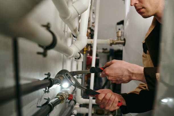 Best Plumbing Inspection Services  in Parks, AZ
